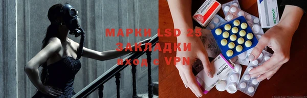 прущие крисы Аркадак