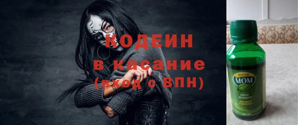 шишки Арсеньев
