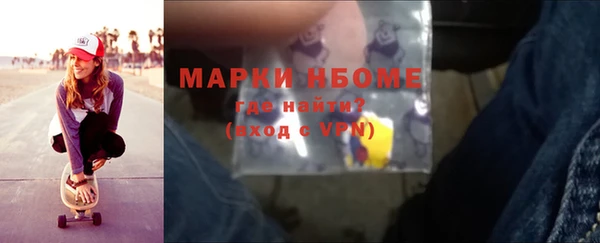 шишки Арсеньев