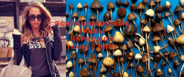 стафф Армянск