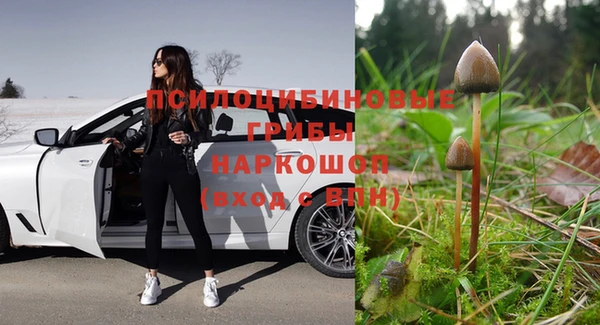 стафф Армянск