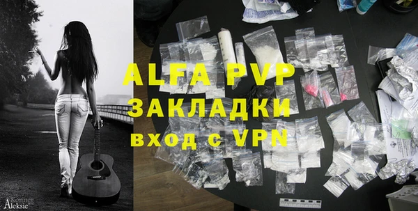 шишки Арсеньев